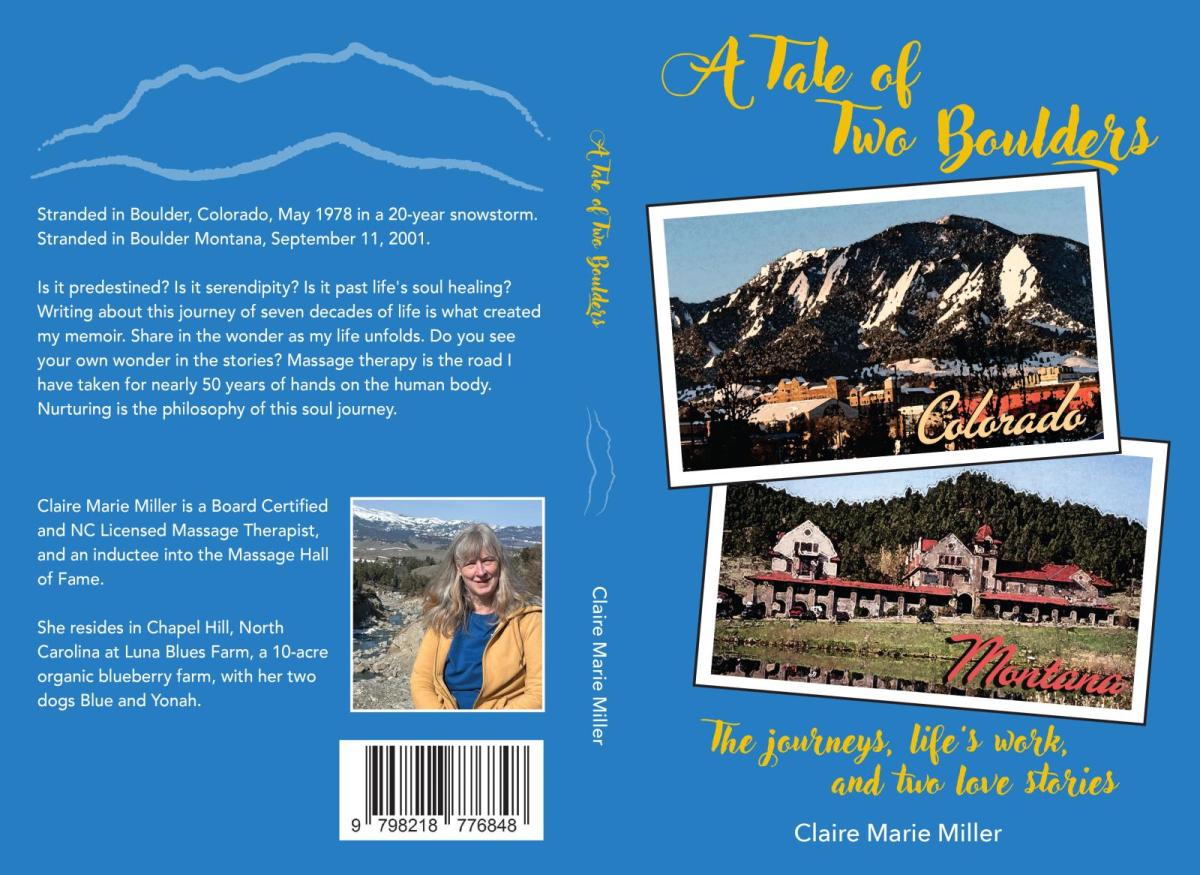 Book cover for A Tale of Two Boulders